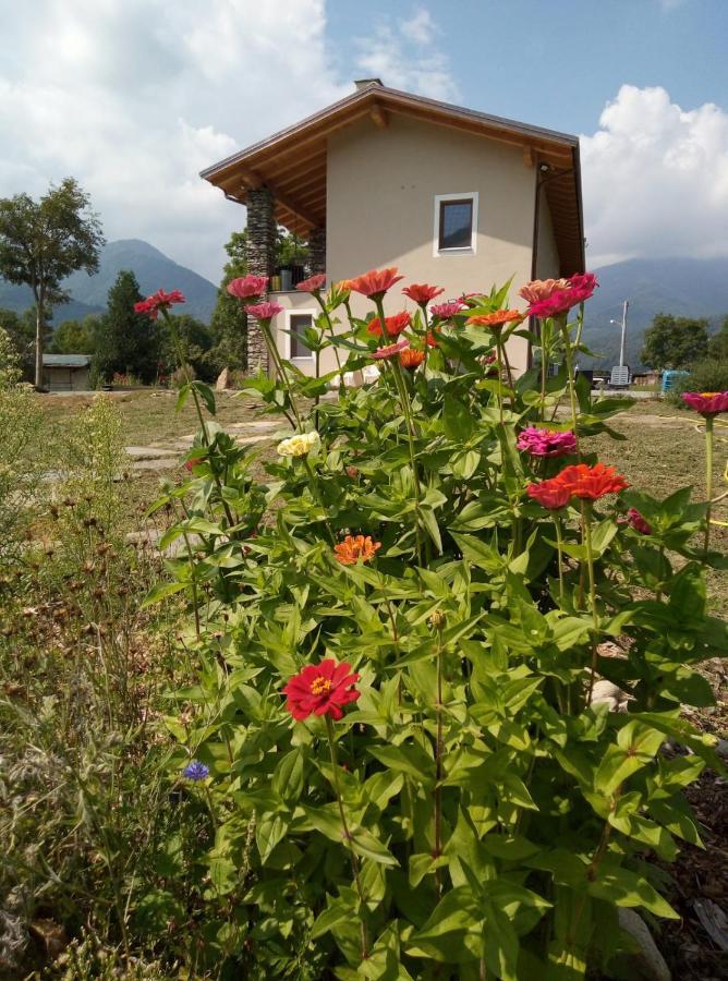 Apartamento Semi Al Vento: La Bio-Casa Nel Giardino Incantato! Paesana Exterior foto