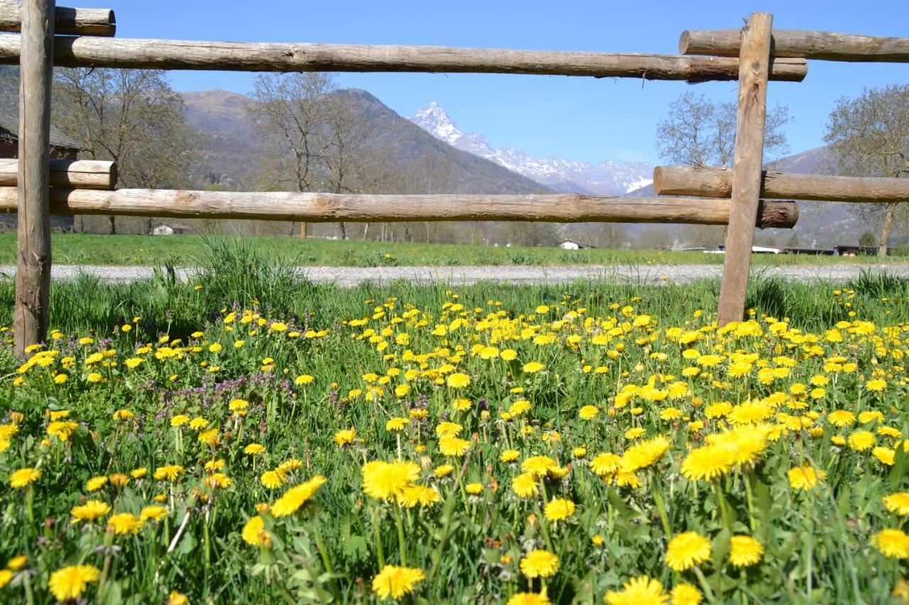 Apartamento Semi Al Vento: La Bio-Casa Nel Giardino Incantato! Paesana Exterior foto