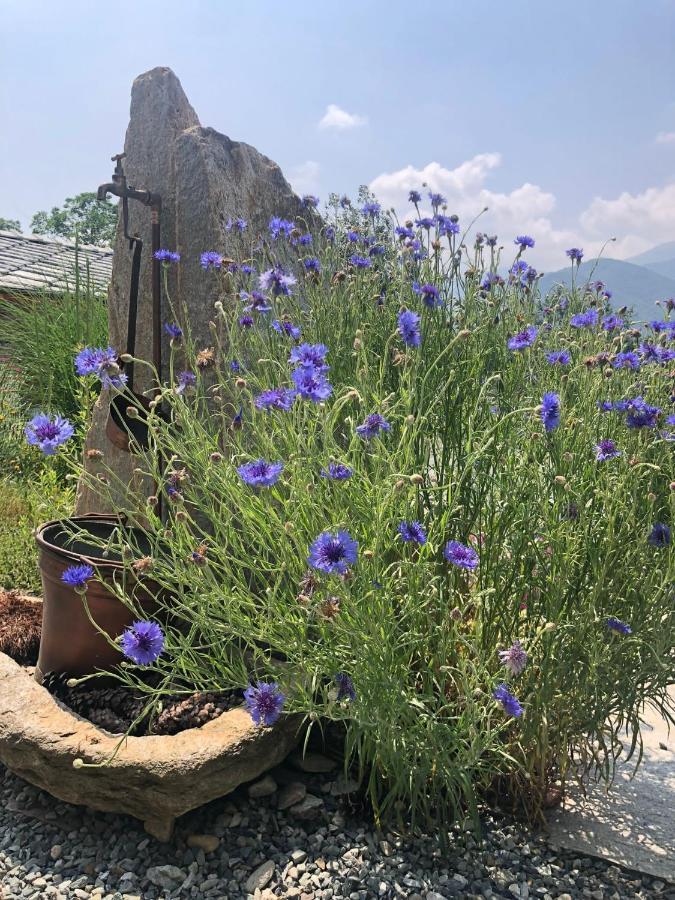 Apartamento Semi Al Vento: La Bio-Casa Nel Giardino Incantato! Paesana Exterior foto