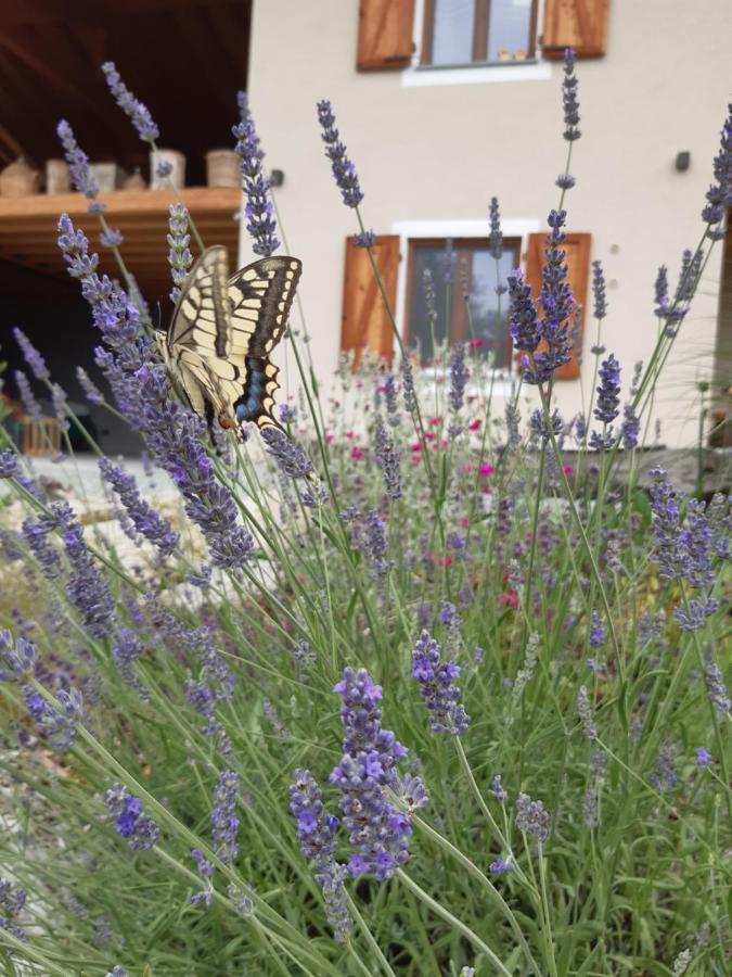 Apartamento Semi Al Vento: La Bio-Casa Nel Giardino Incantato! Paesana Exterior foto